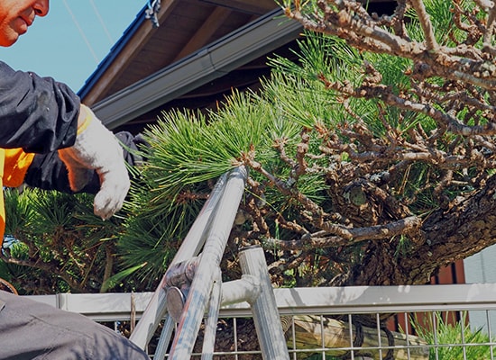 株式会社 友樹について